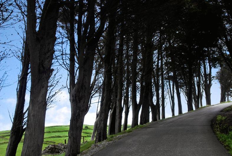 Posada Rural Entrecomillas Kültér fotó