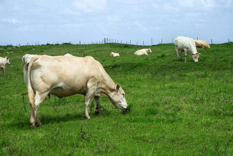 Posada Rural Entrecomillas Kültér fotó